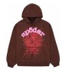 Hoodies & Sweats 305 Kicks | Sp5Der Web Hoodie Brown